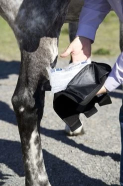 Ice Horse Hock Wraps With Inserts - PAIR