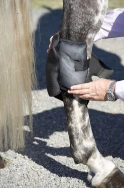 Ice Horse Hock Wraps With Inserts - PAIR 10 Ice Horse Hock Wraps With Inserts - PAIR -Equi Gear Shop ice horse hock wraps with inserts pair 61 14428 34901.1582574429