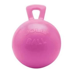 Scented Jolly Ball Horse Toy