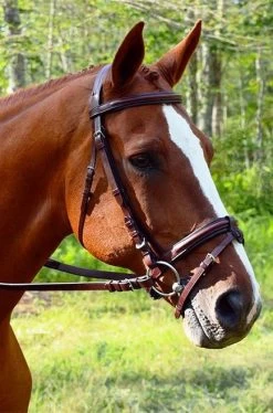 Red Barn Burghley Flash Bridle -Equi Gear Shop kl select red barn burghley flash bridle soft grip reins 69866 98648.1684375802