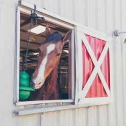 Kong Equine Hanging Kit Horse Toy -Equi Gear Shop kong hanging standard green window kong equine 56075.1638045204