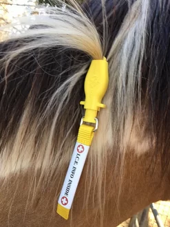 ManeStay Emergency ID Tag -Equi Gear Shop mane stay ice info on mane 64532.1540845440