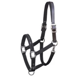Schockemohle Memphis Fleece Lined Halter 7 Schockemohle Memphis Fleece Lined Halter -Equi Gear Shop memphis breakaway black 1311 00020 schockemoehle 55437.1650664913