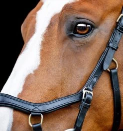 Horseware Ireland Horseware Micklem 2 Competition Bridle -Equi Gear Shop micklem2 competition bridle black cheeckpiece SBMOM2 K000 SC horseware ireland 98680.1689872525