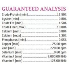 Puirna Miniature Horse And Pony