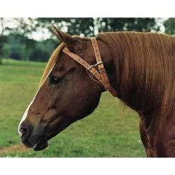 Weaver Leather Miracle Collar -Equi Gear Shop miracle collar 3 90091 79088.1527294331