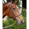 Nunn Finer Newmarket Shank Lead