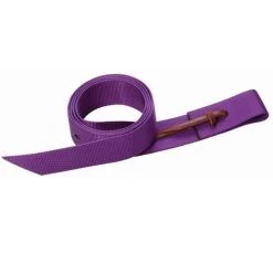 Weaver Leather Weaver Nylon Latigo Tie Strap 10 Weaver Leather Weaver Nylon Latigo Tie Strap -Equi Gear Shop nylon latigo tie strap purple 35500 60 weaver 98529.1679696546