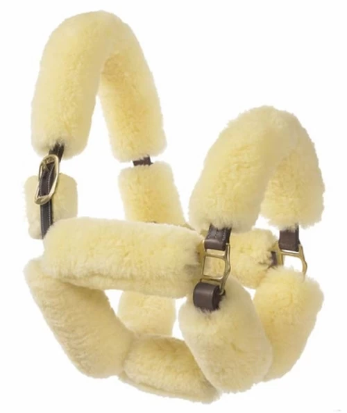 Ovation Sheepskin Pony Shipping Halter 1 Ovation Sheepskin Pony Shipping Halter