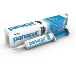Panacur Equine Paste Dewormer