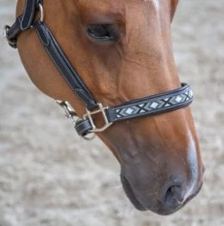 PÉNÉLOPE Pénélope Pearl Leather Halter -Equi Gear Shop pearl halter black noseband 510 311 315 penelope 50093.1690498320