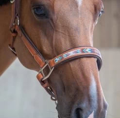 PÉNÉLOPE Pénélope Pearl Leather Halter -Equi Gear Shop pearl halter cognac noseband1 510 311 302 penelope 65794.1688687941