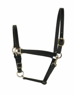 Perri's 3/4-Inch Leather Turnout Halter