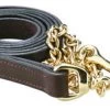 Perri's Leather Lead With Brass Chain