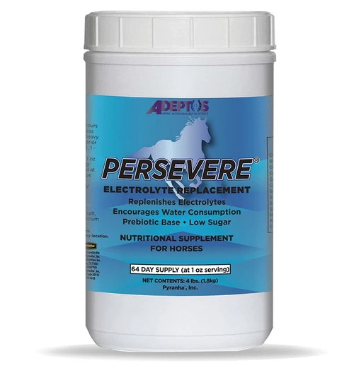 Adeptus Persevere Electrolytes 2 Adeptus Persevere Electrolytes - Image 2