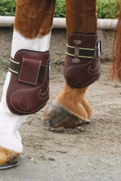 Equi Gear Shop -Equi Gear Shop professional s choice ventech leather ankle jump boot 1 96948 87123.1527293487