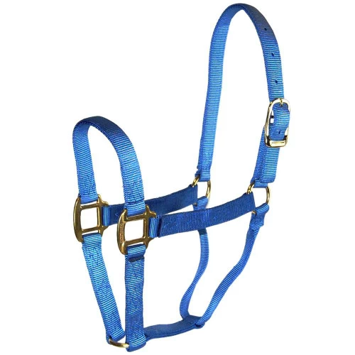 Hamilton Quality 1" Nylon Halter 8 Hamilton Quality 1" Nylon Halter - Image 8