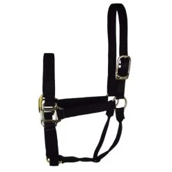 Hamilton Quality 1" Nylon Halter 15 Hamilton Quality 1" Nylon Halter -Equi Gear Shop quality 1in nylon halter black 1Q hamilton 13858.1685665721