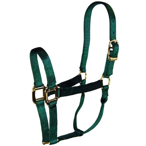 Hamilton Quality 1" Nylon Halter 1 Hamilton Quality 1" Nylon Halter