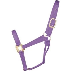 Hamilton Quality 1" Nylon Halter 14 Hamilton Quality 1" Nylon Halter -Equi Gear Shop quality 1in nylon halter lavender 1Q AVLV hamilton 15621.1685665710
