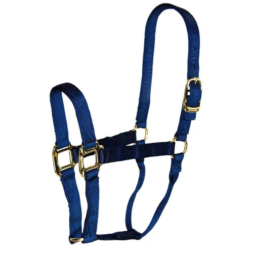 Hamilton Quality 1" Nylon Halter 3 Hamilton Quality 1" Nylon Halter - Image 3