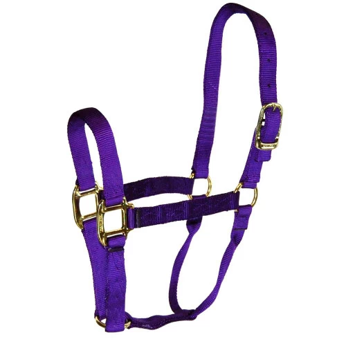 Hamilton Quality 1" Nylon Halter 2 Hamilton Quality 1" Nylon Halter - Image 2