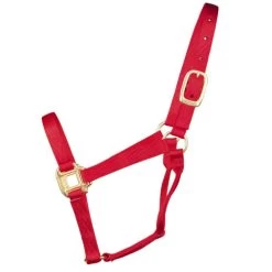 Hamilton Quality 1" Nylon Halter 17 Hamilton Quality 1" Nylon Halter -Equi Gear Shop quality 1in nylon halter red 1Q hamilton 12014.1685665705