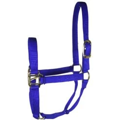 Hamilton Quality 1" Nylon Halter 13 Hamilton Quality 1" Nylon Halter -Equi Gear Shop quality 1in nylon halter royal 1Q hamilton 95898.1685665741