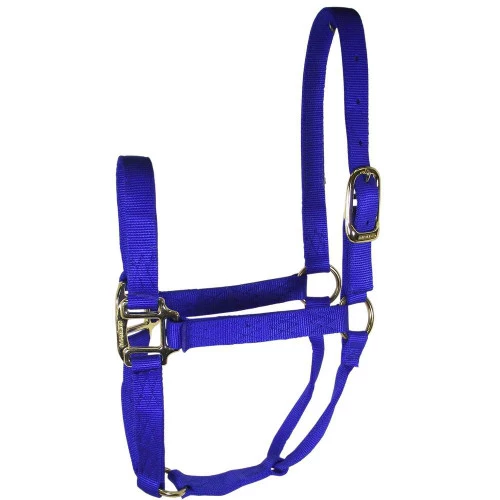 Hamilton Quality 1" Nylon Halter 5 Hamilton Quality 1" Nylon Halter - Image 5