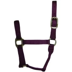 Hamilton Quality 1" Nylon Halter 12 Hamilton Quality 1" Nylon Halter -Equi Gear Shop quality 1in nylon halter wine 1QWN hamilton 54194.1685665738