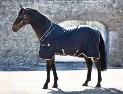 Horseware Ireland Rambo Grand Prix Helix Sheet -Equi Gear Shop rambo grand prix helix sheet black tan orange horseware 24189.1570122898