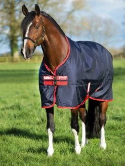 Horseware Ireland Rambo Original Medium Turnout 200g