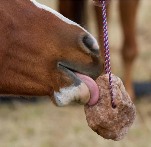 Redmond Rock On A Rope Salt Block 2 Redmond Rock On A Rope Salt Block - Image 2