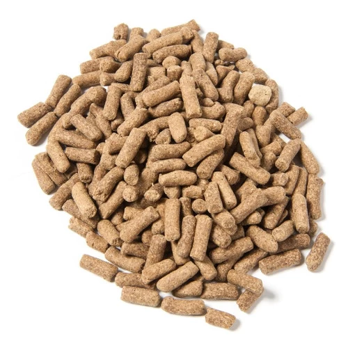 Renew Gold 2 Renew Gold - Image 2