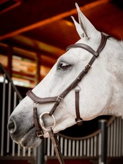 Horseware Ireland Horseware Micklem 2 Competition Bridle -Equi Gear Shop sbmom0 nab0 horseware micklem 2 competition bridle 4 37008.1689872573