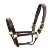 Walsh Signature Pony Halter