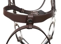 Signature By Antarès Training Bridle -Equi Gear Shop signature training bridle brown noseband SIGOB BRD2 atares 00196.1674091341