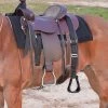 Cashel Step Up Stirrup