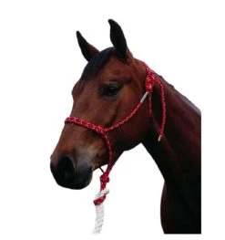 Double Diamond 100 Stiff Rope Halter