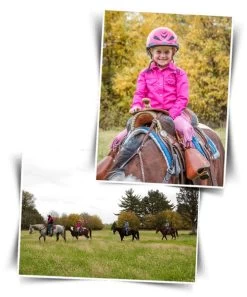 BOOMA Rein Safety Rein -Equi Gear Shop story 18086 04407.1527296824