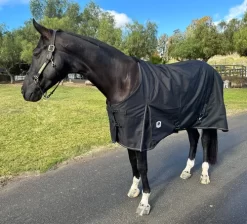 Terminator II Euro Cut Ultralight Blanket 80g -Equi Gear Shop terminator euro 80g black front side barry1 kensington 38125.1670367442