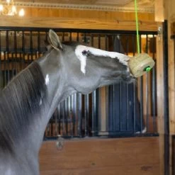 Triple Crown Tether Treat -Equi Gear Shop tether treat horse triple crown 83569.1668202731