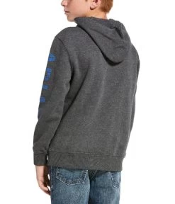 Ariat Youth Classic Logo Hoodie 9 Ariat Youth Classic Logo Hoodie -Equi Gear Shop youth classic logo hoodie charcoal back 10033032 ariat 01981.1603480615